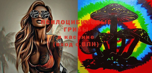 гашик Алзамай