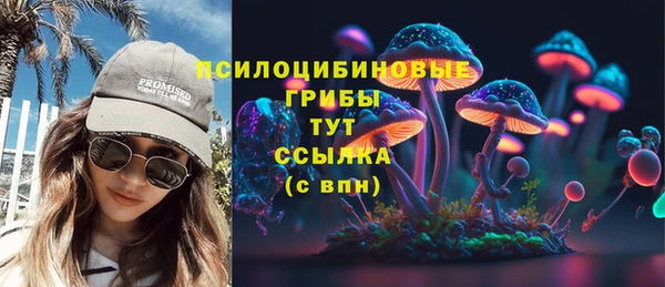 молекула духа Алексеевка