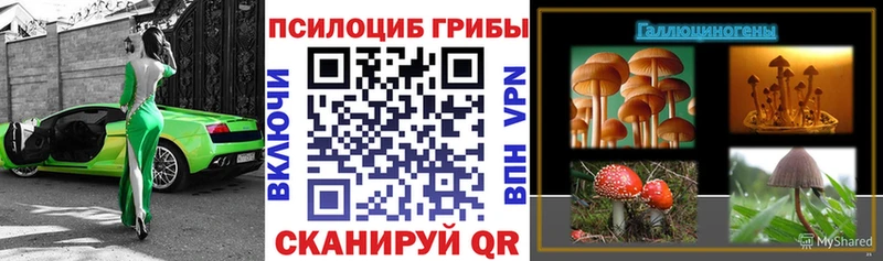 где купить наркотик  Устюжна  Галлюциногенные грибы мухоморы 